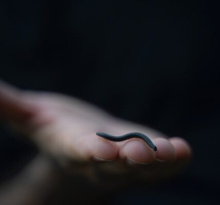 a hand holding a tiny black object in it's palm