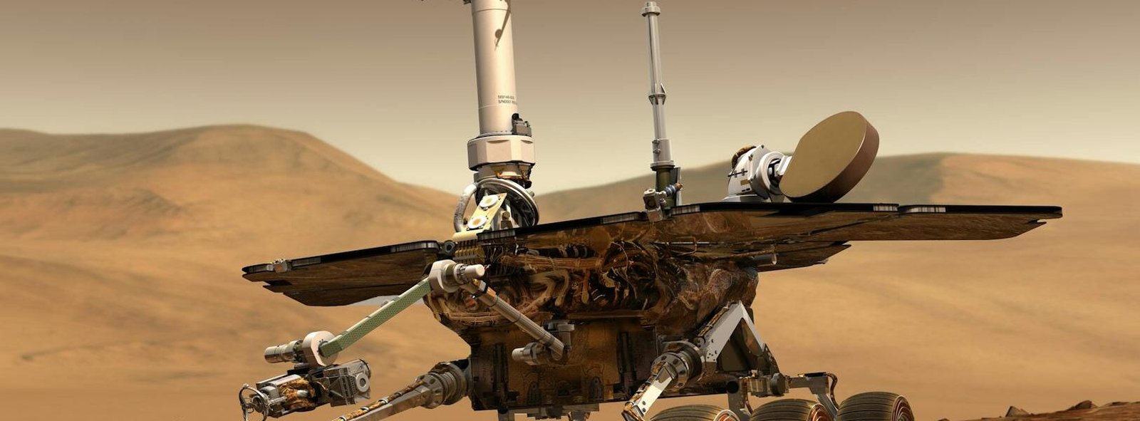 gray and white robot