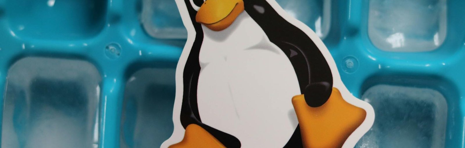 linux tux penguin mascot cutout lying on a tray with ice cubes