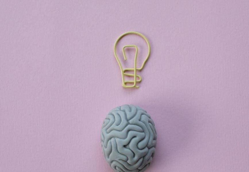paperclip in a shape of a light bulb and a rubber eraser in a shape of a brain