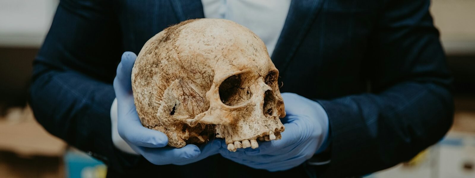 person in blue long sleeve shirt holding brown skull