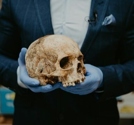 person in blue long sleeve shirt holding brown skull