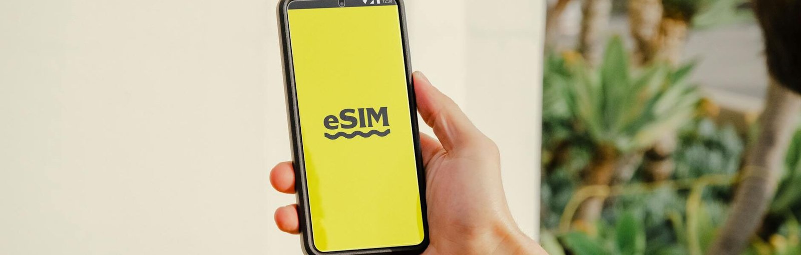 esim text on smartphone screen