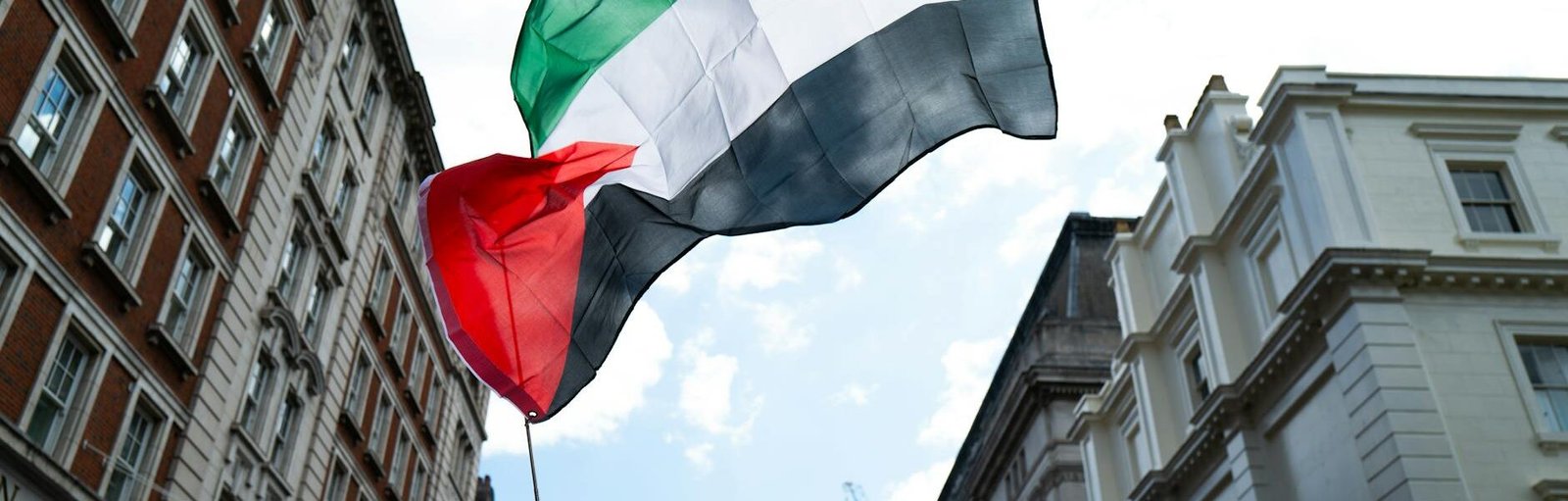 protest in london with palestinian flag