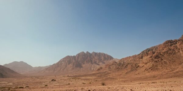 Piastri pide a McLaren evitar dolores de cabeza con las reglas papaya en 2026