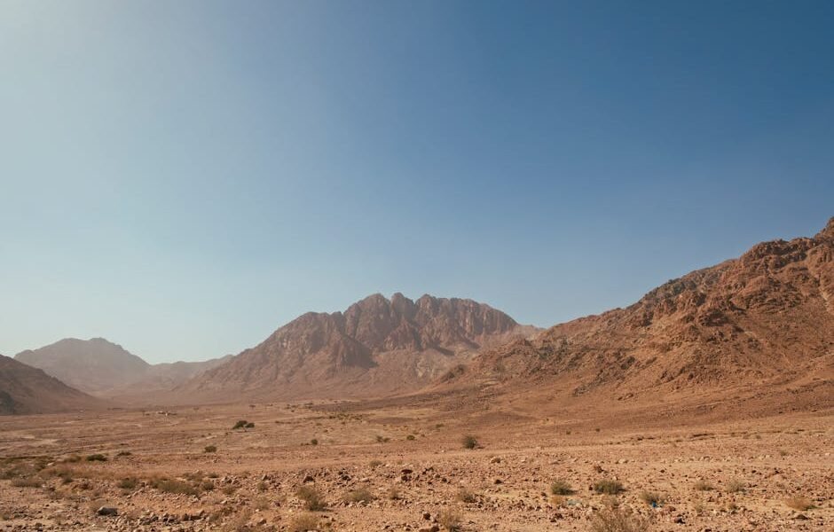 Piastri pide a McLaren evitar dolores de cabeza con las reglas papaya en 2026