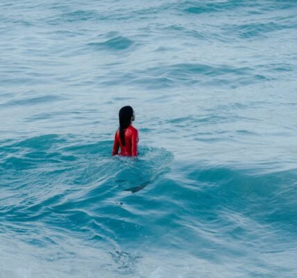 OpenClaw: los chatbots de IA que están revolucionando la interacción…