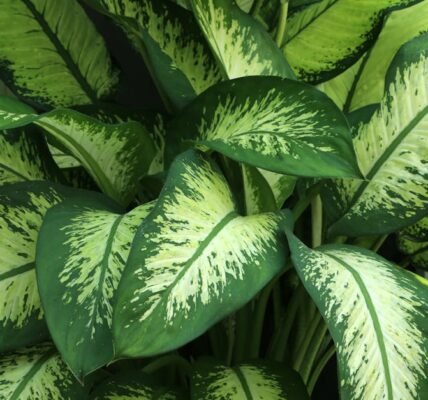 El lado oscuro de la tecnología verde: el verdadero costo de los autos…