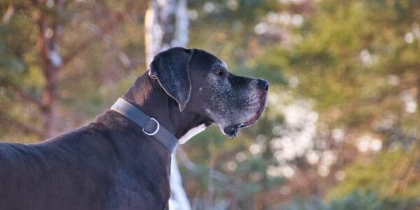 Última oportunidad: nominaciones para los premios Great Women 2026