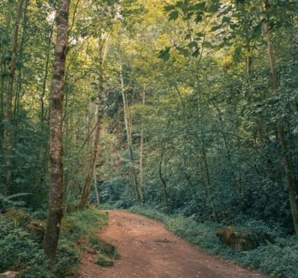 Valle de Bravo: sabores regenerativos que transforman tu visita