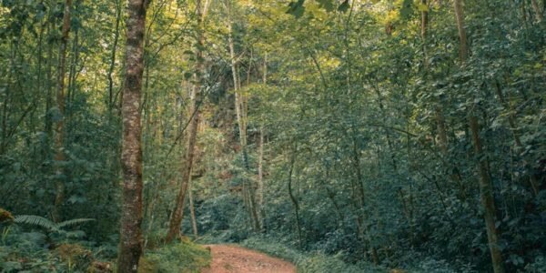 Valle de Bravo: sabores regenerativos que transforman tu visita