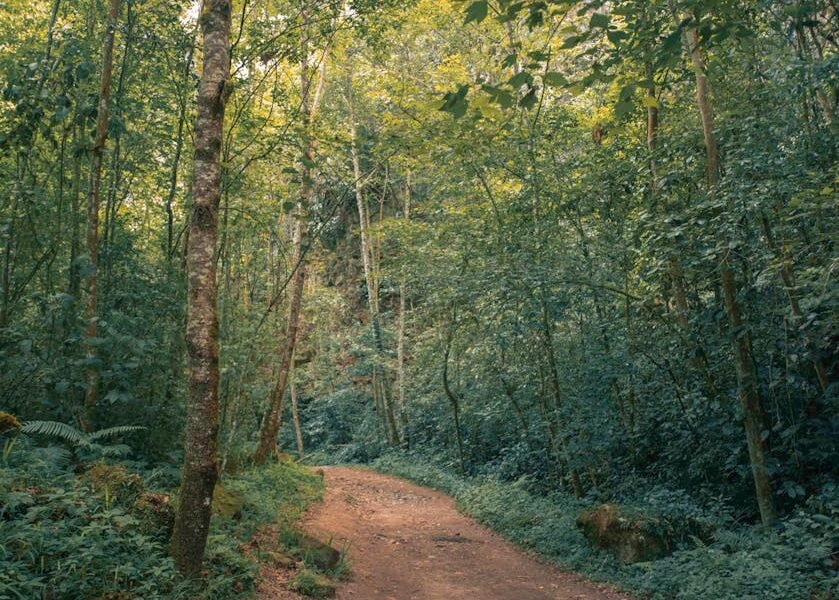 Valle de Bravo: sabores regenerativos que transforman tu visita