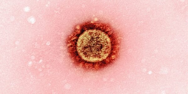 Descubren el virus del resfriado más antiguo en pulmones del siglo XVIII