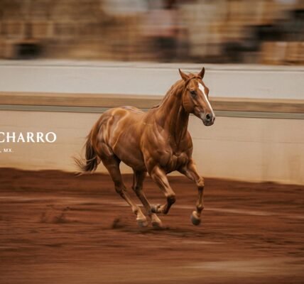 Mundo Charro recibe el Reconocimiento Paddock 2026 por su compromiso con el bienestar equino
