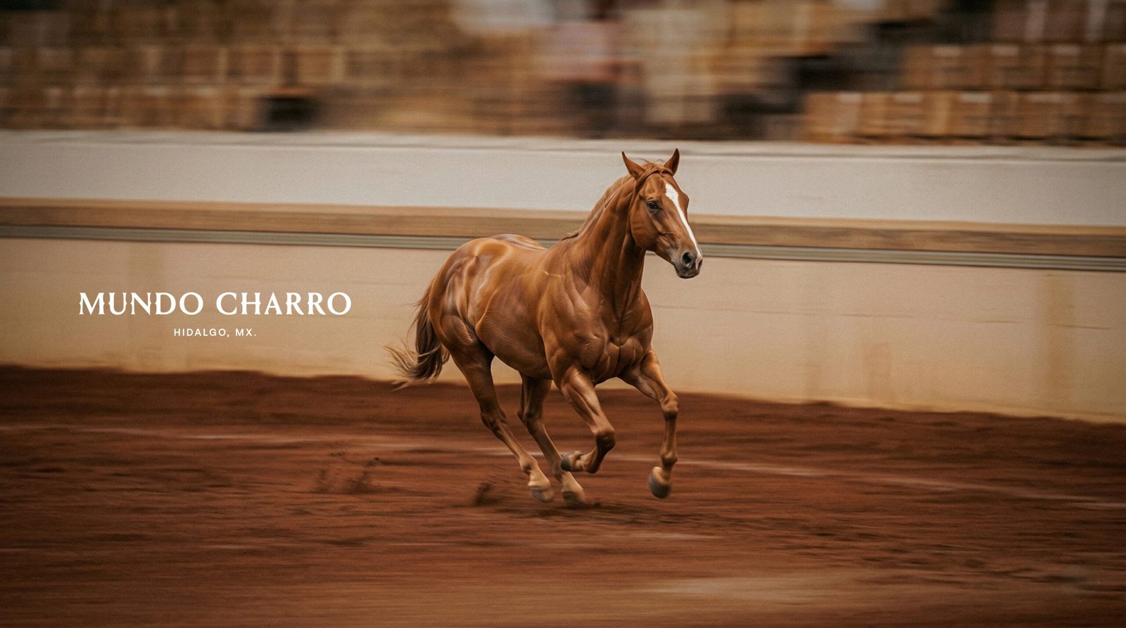 Mundo Charro recibe el Reconocimiento Paddock 2026 por su compromiso con el bienestar equino