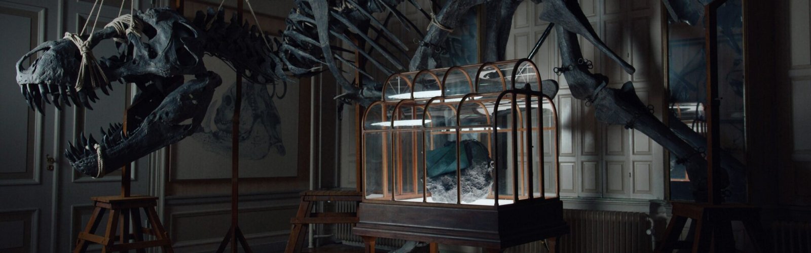 Presentan el primer bolso de lujo hecho con cuero de T-Rex cultivado en laboratorio