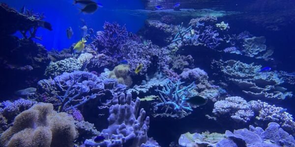 Imagen ilustrativa
