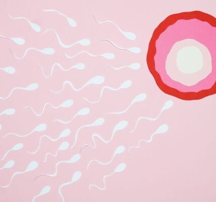 Imagen ilustrativa