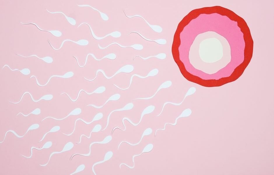 Imagen ilustrativa