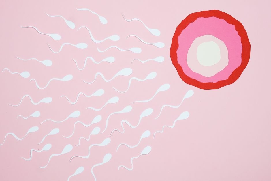 Imagen ilustrativa