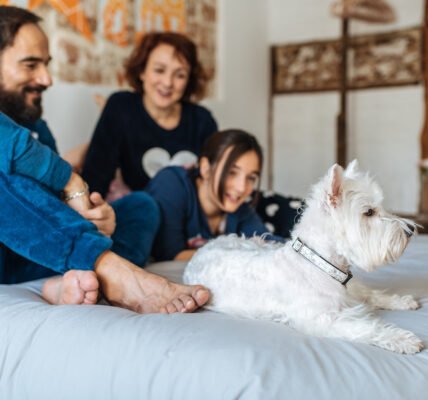 Detox para el descanso: 5 consejos para mejorar nuestro sueño
