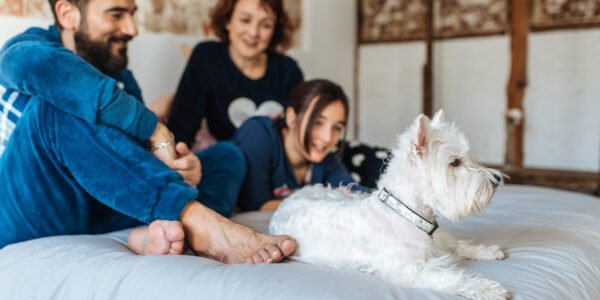 Detox para el descanso: 5 consejos para mejorar nuestro sueño