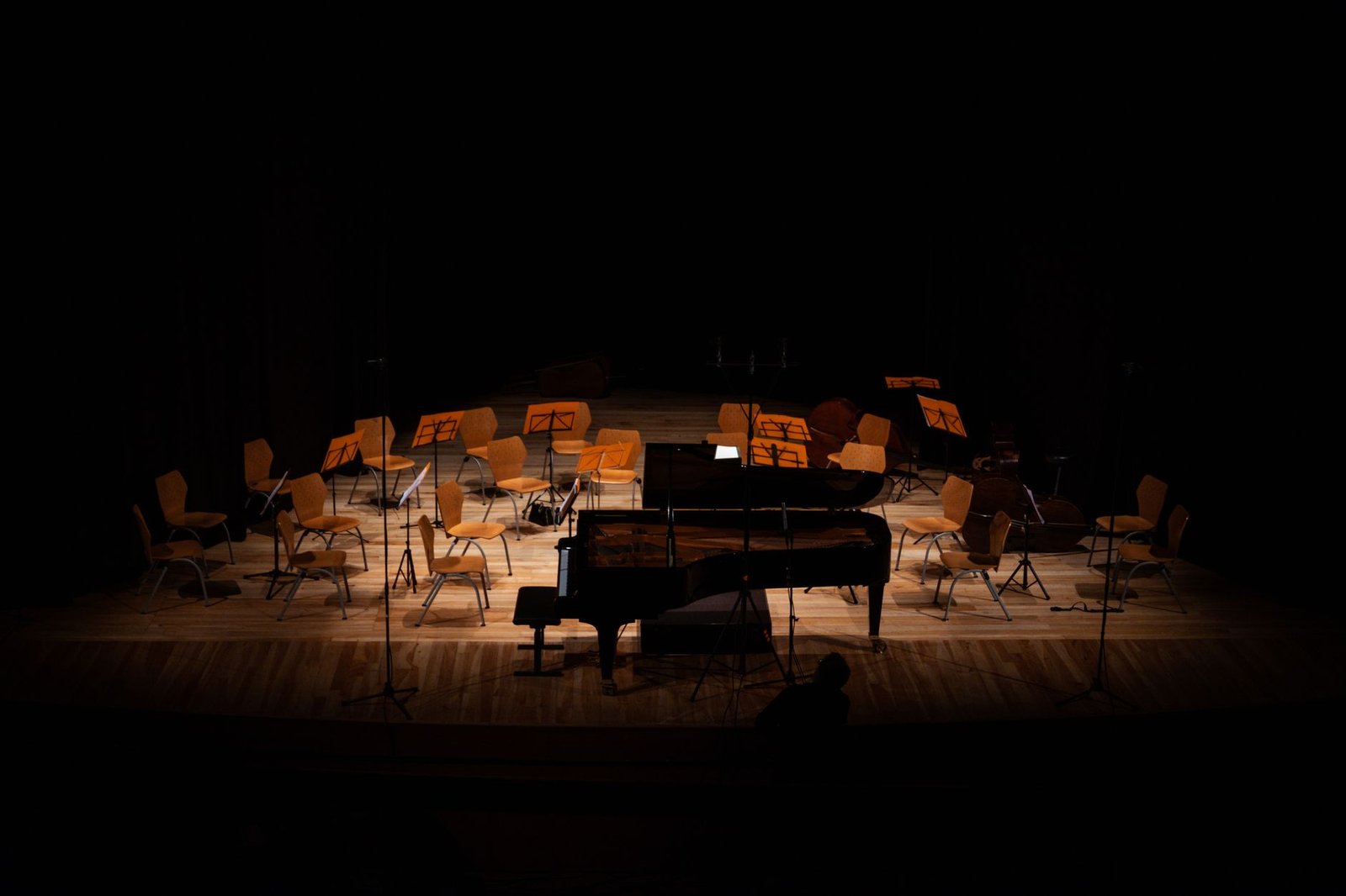 Un viaje por los sonidos del mundo en el Festival Internacional Cervantino