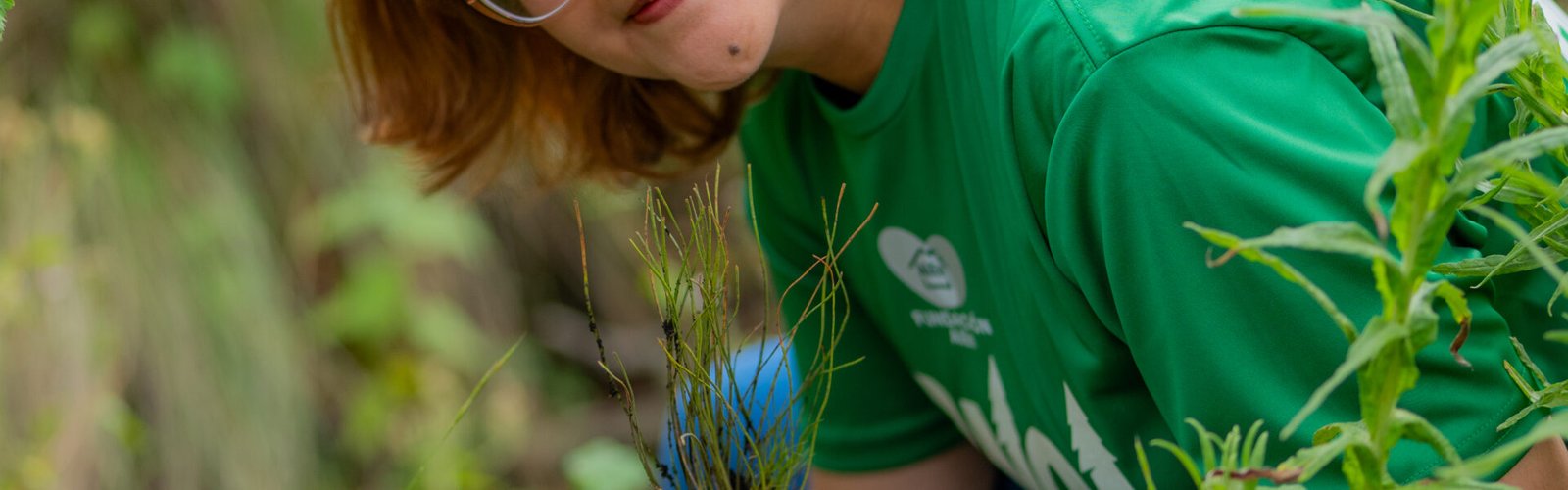 Pinol y Fundación AlEn reforestan 3,850 pinos en cuatro zonas boscosas de México