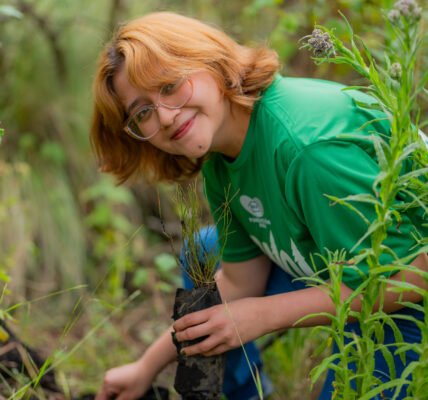 Pinol y Fundación AlEn reforestan 3,850 pinos en cuatro zonas boscosas de México