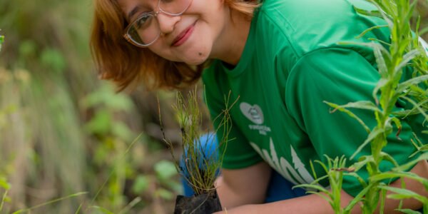 Pinol y Fundación AlEn reforestan 3,850 pinos en cuatro zonas boscosas de México