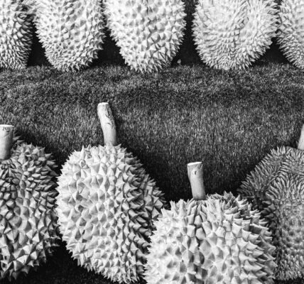 Imagen ilustrativa