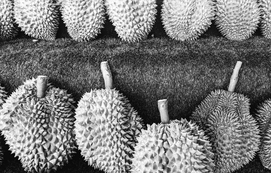 Imagen ilustrativa