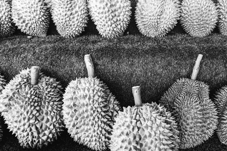 Imagen ilustrativa